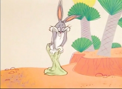 کایوت و رودرانر (فصل 3 - قسمت 11)